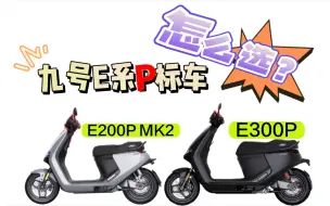 Download Video: E300P&E200P MK2 性能强悍，按需选择