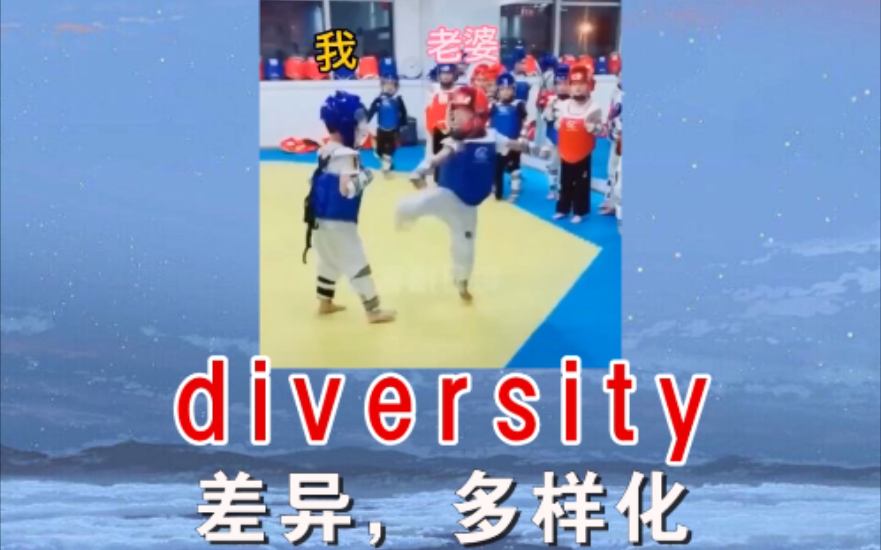 diversity 差异,多样化哔哩哔哩bilibili