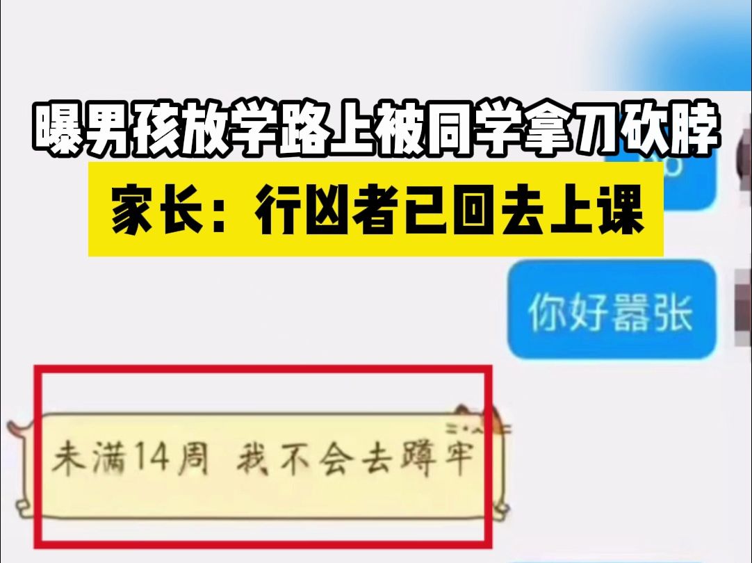 曝男孩放学路上被同学拿刀砍脖,家长:行凶者已回去上课哔哩哔哩bilibili