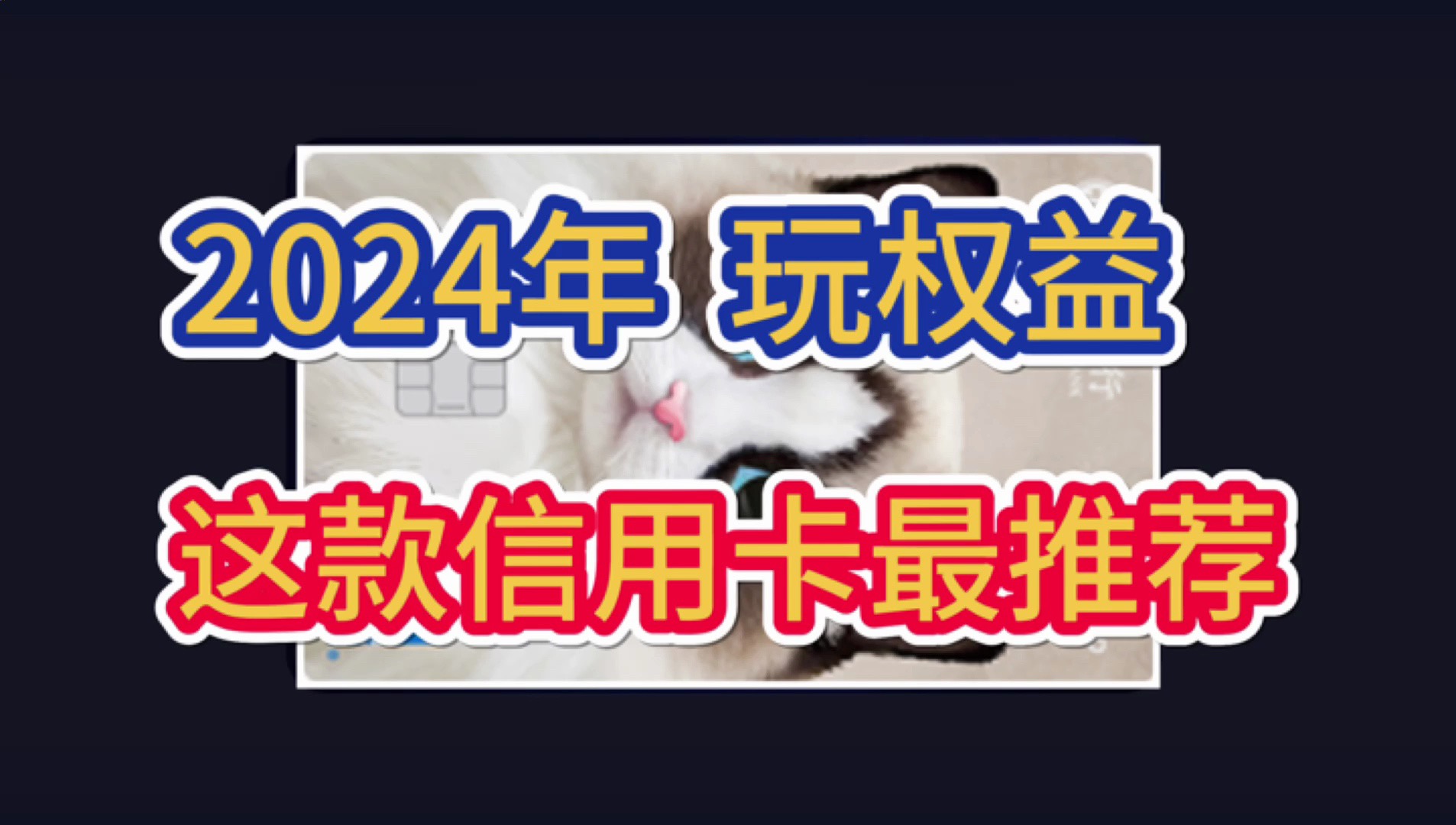 2024年,玩信用卡,这款信用卡最推荐!多币信用卡!哔哩哔哩bilibili