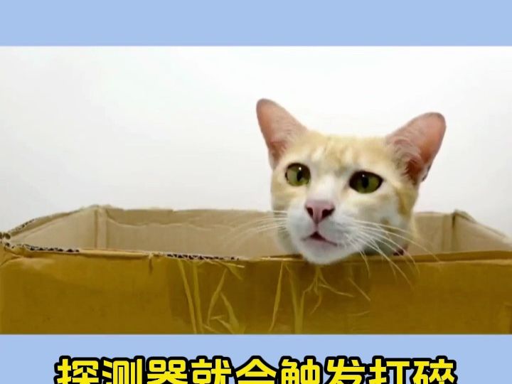 《你不可不知的50个物理知识》28 薛定谔的猫