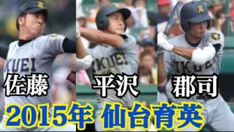 高校野球 宫城大会決勝赛仙台育英 仙台8 01 哔哩哔哩 Bilibili