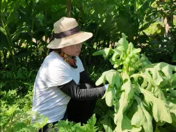 Скачать видео: 回归自然 种花种菜