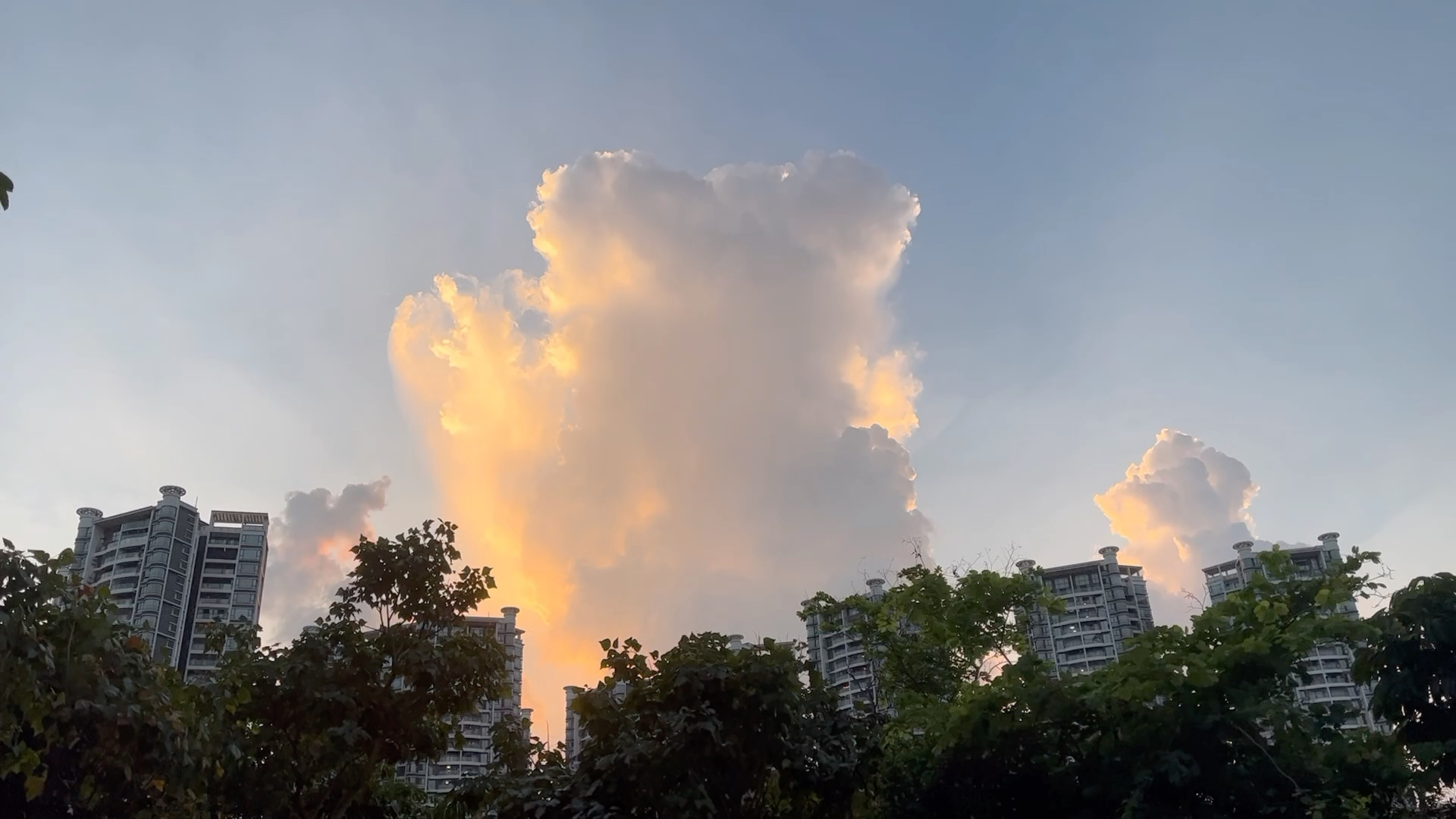 [图]小熊在打招呼欸