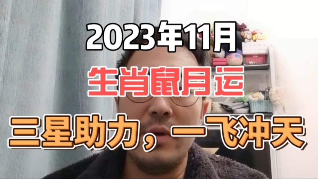 生肖鼠2023运势走向(属鼠2023年运势详解全年运程完整版)