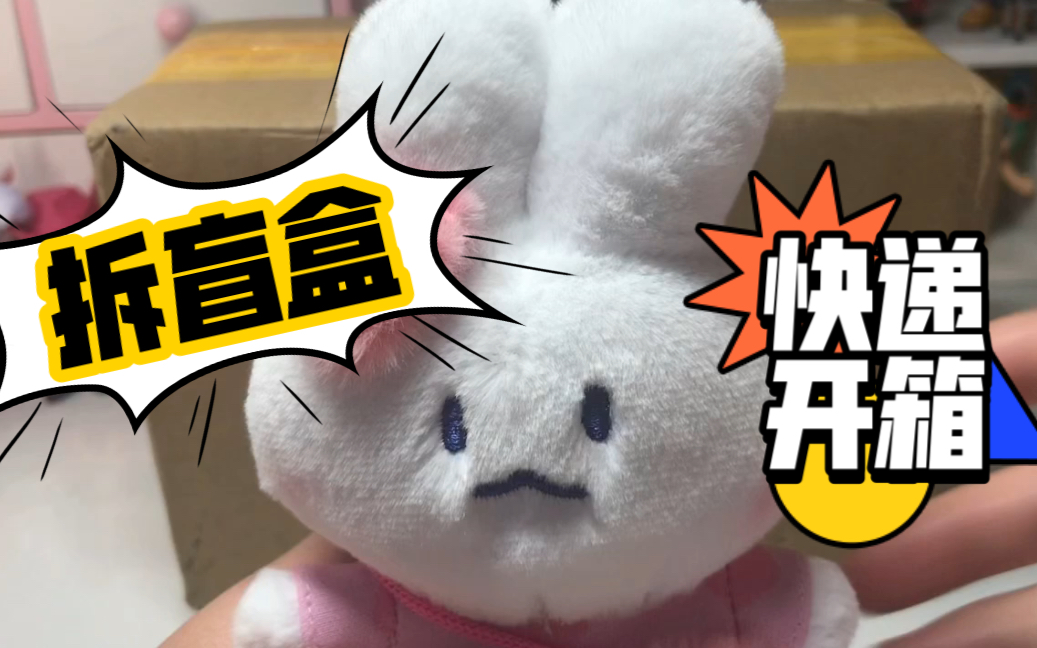 拆盲盒快递开箱泡泡玛特米奇家族泳池狂欢linefriends街头系列盲盒