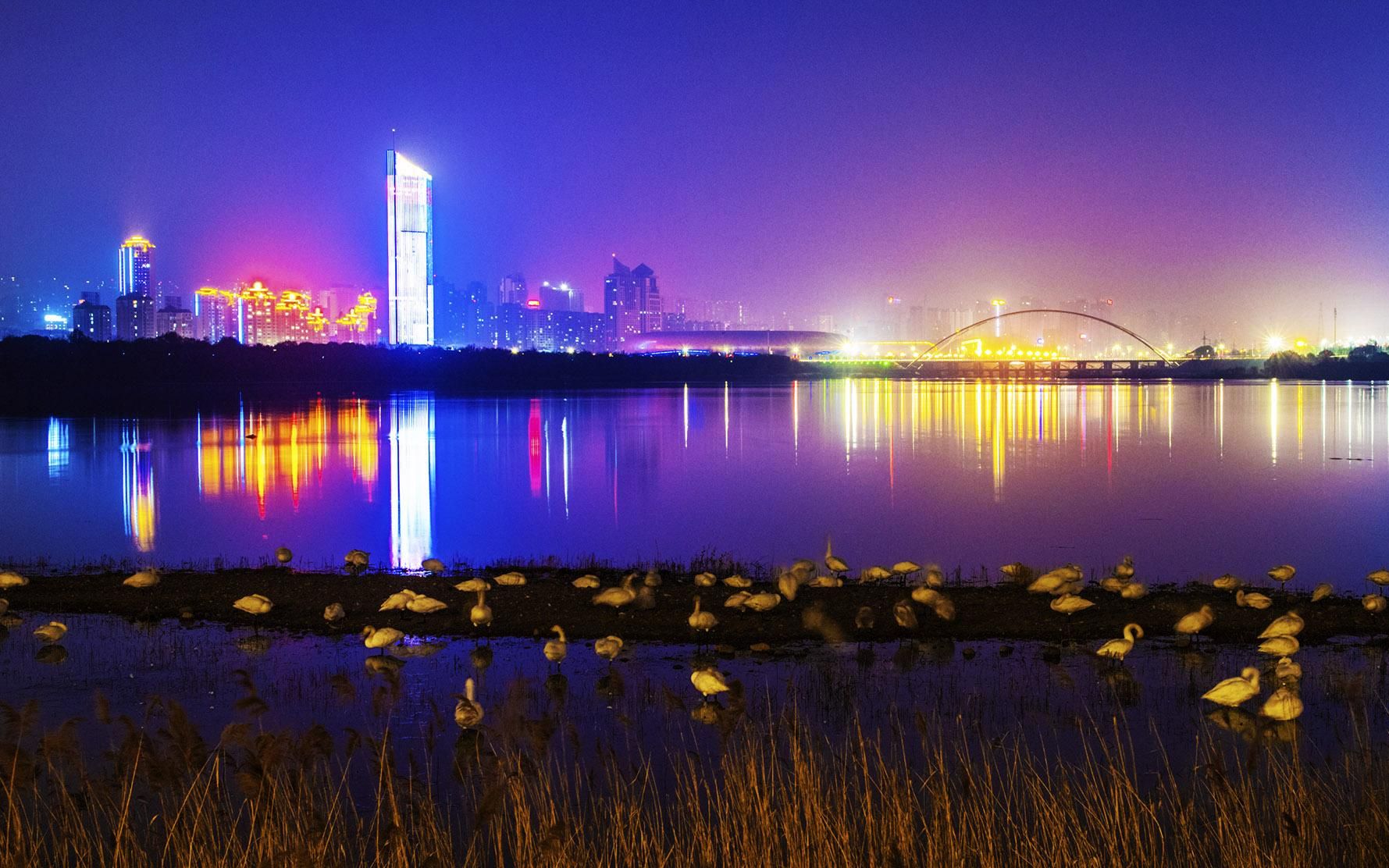 三門峽天鵝湖景區vr全景