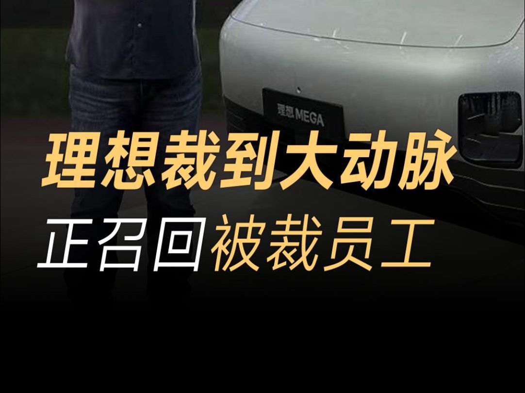 理想裁员裁到大动脉,召回部分被裁员工,裁员赔偿金尚未发放哔哩哔哩bilibili