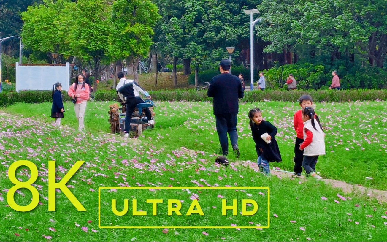 三星S22 ULTRA在东莞公园,,8K UHD高清视频测试,这画质吊打电影机?哔哩哔哩bilibili