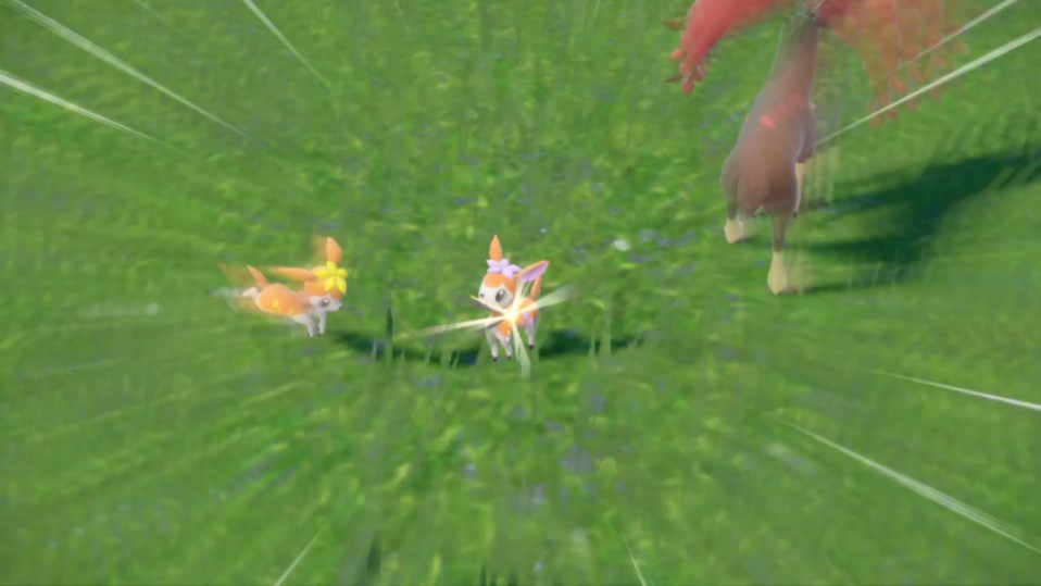 225=115 第115只闪光 闪光四季鹿!