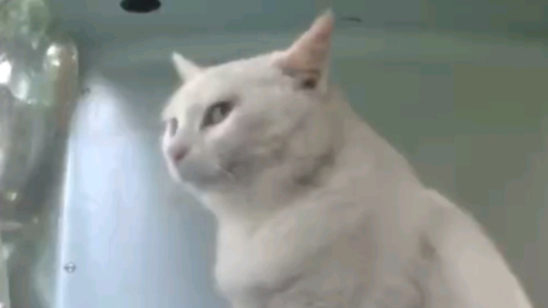 微笑姐的十大美德