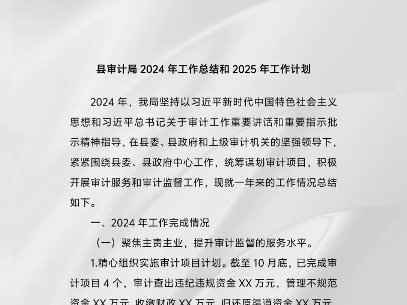 县审计局2024年工作总结和2025年工作计划哔哩哔哩bilibili