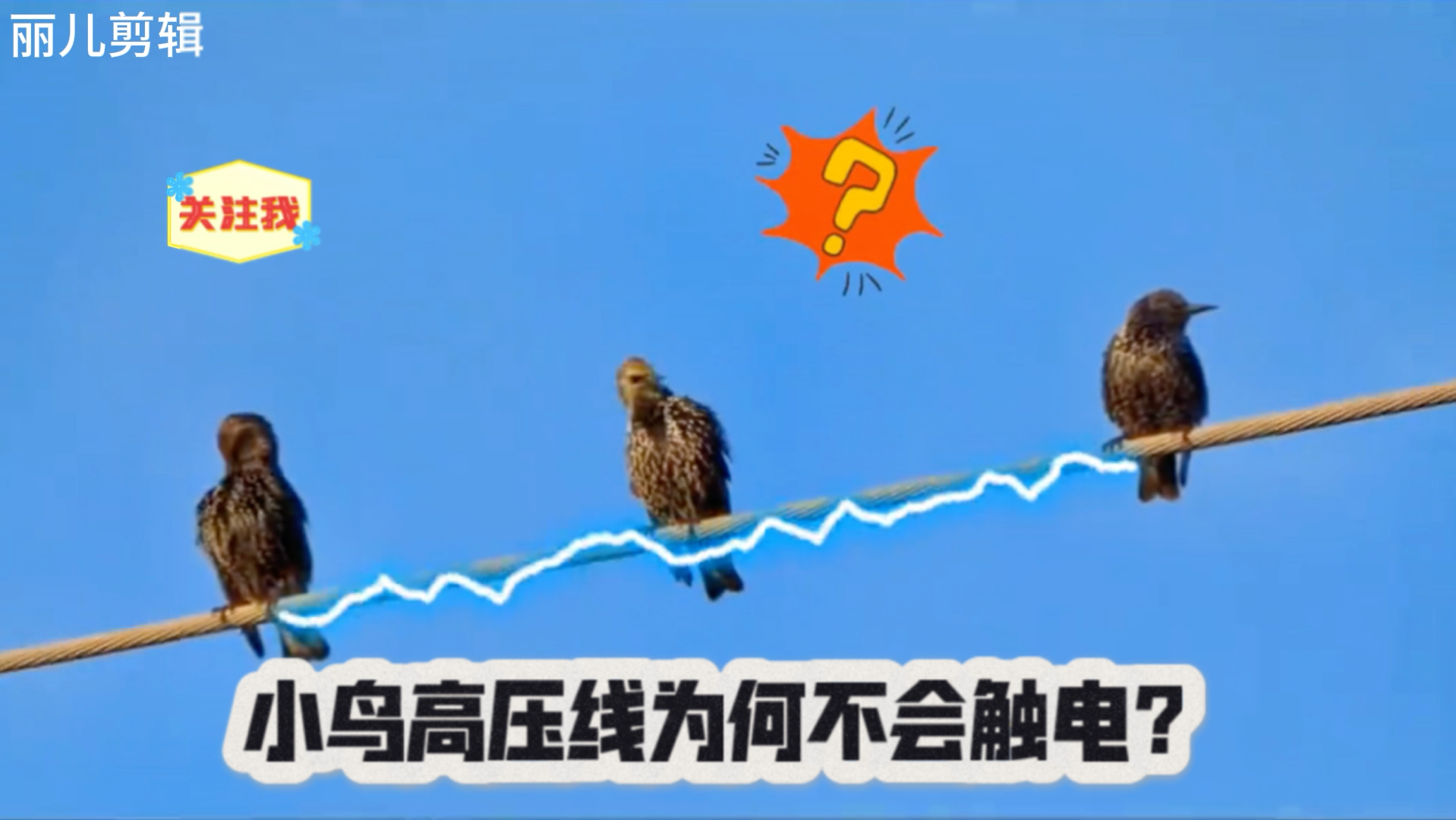 鸟在电线上为什么不会触电