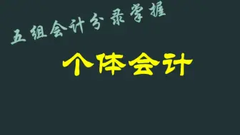 个体会计分录