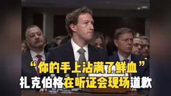 “你的手上沾满了鲜血” 扎克伯格在听证会现场道歉