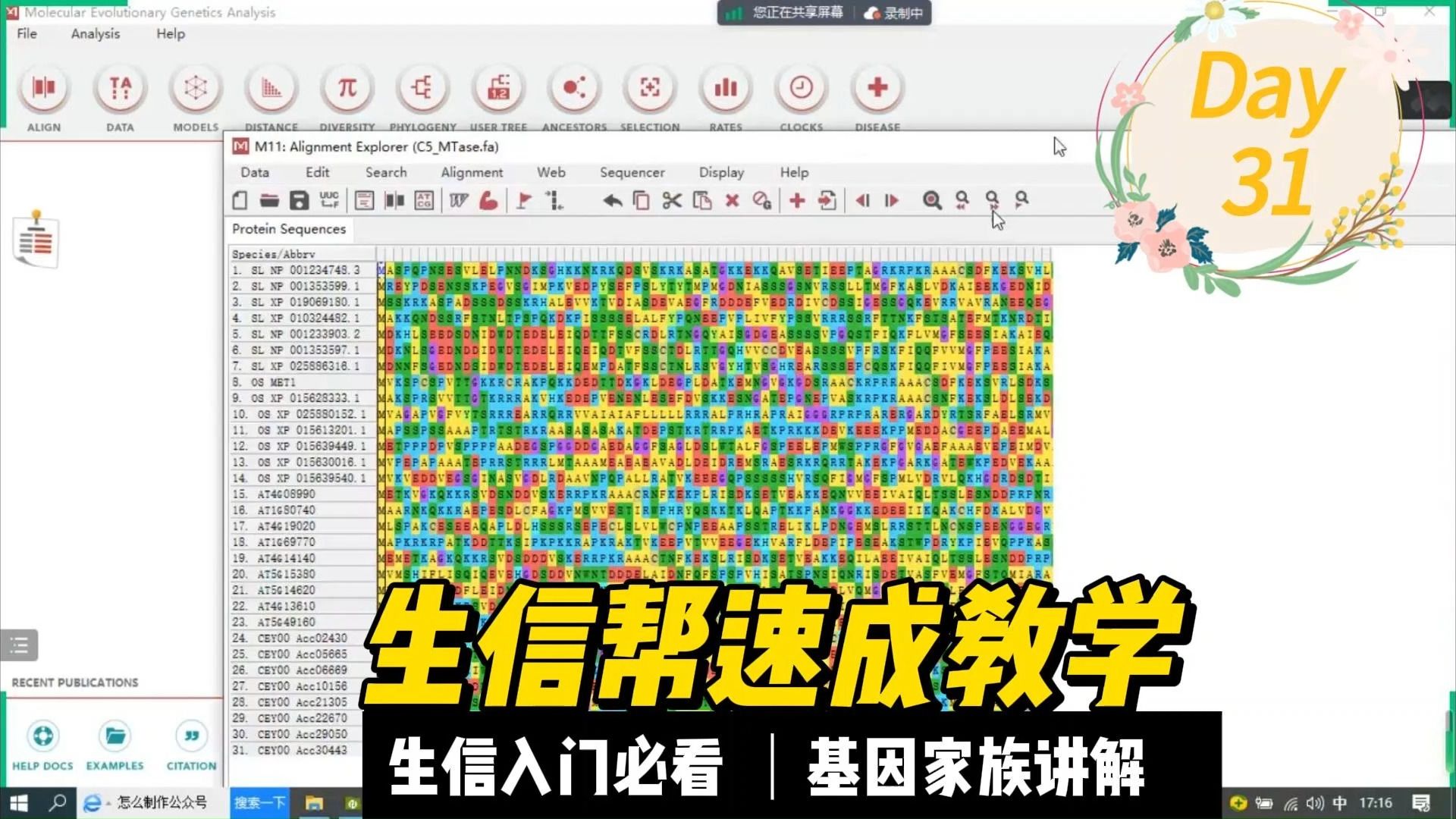 基因家族分析课程31如何使用MEGA构建进化树?教你一步步实操,构建进化树的思路详解哔哩哔哩bilibili