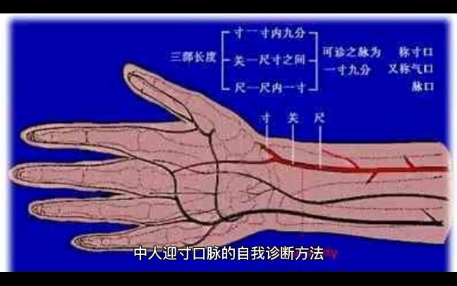 [图]人迎寸口脉断病机