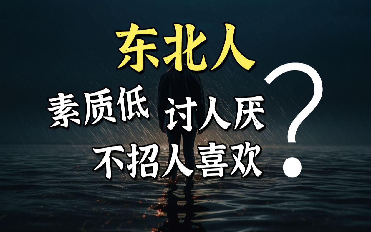 东北人为什么网络风评那么差?哔哩哔哩bilibili