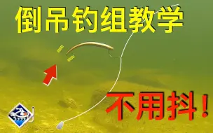 Download Video: 【你没见过的倒吊钓组教学】不要抖你的倒吊！解锁倒吊真正威力！【字幕版】