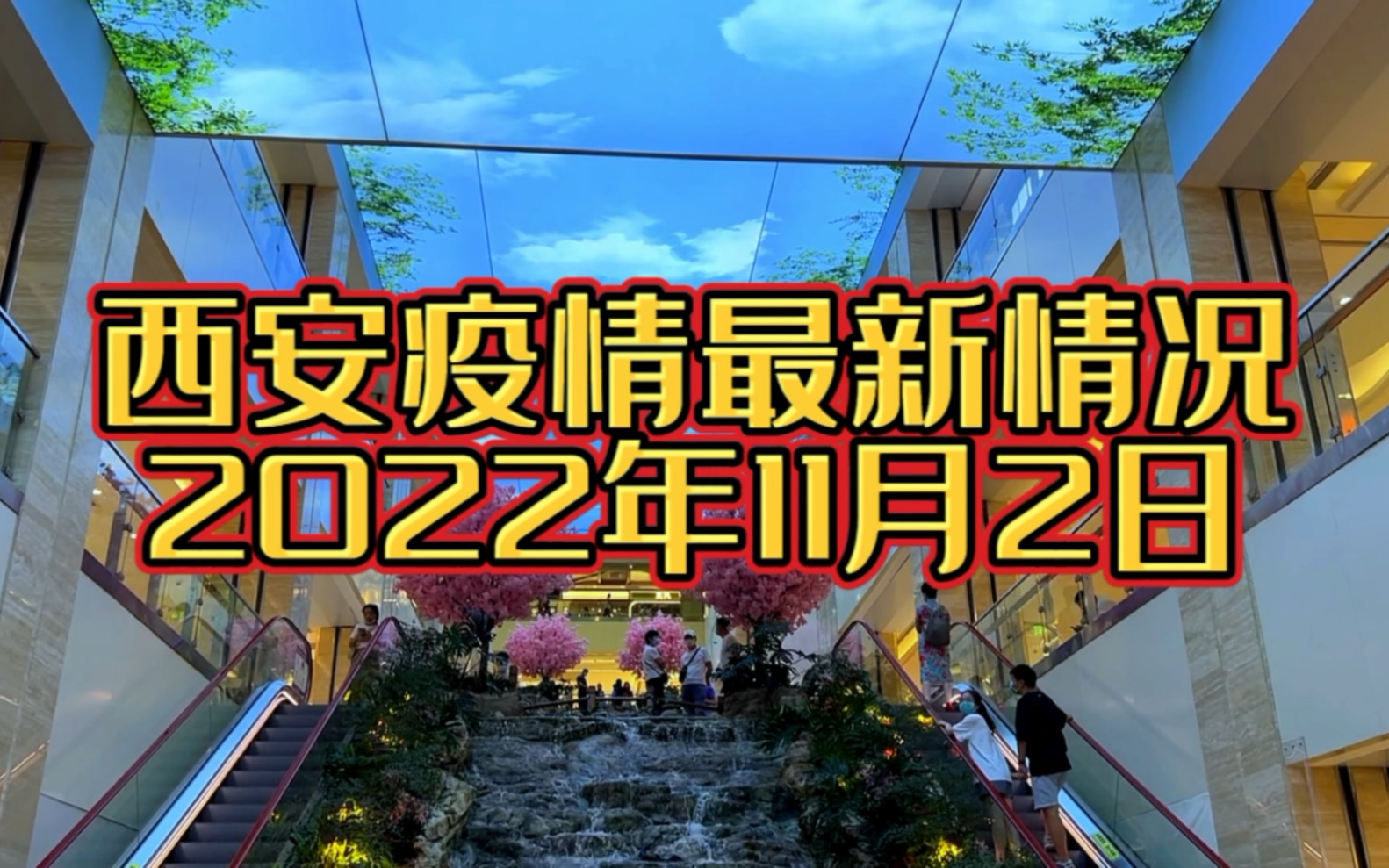 11月2日西安市莲湖区疫情严重,专家提醒你做好以下5个方面,远离疫情哔哩哔哩bilibili