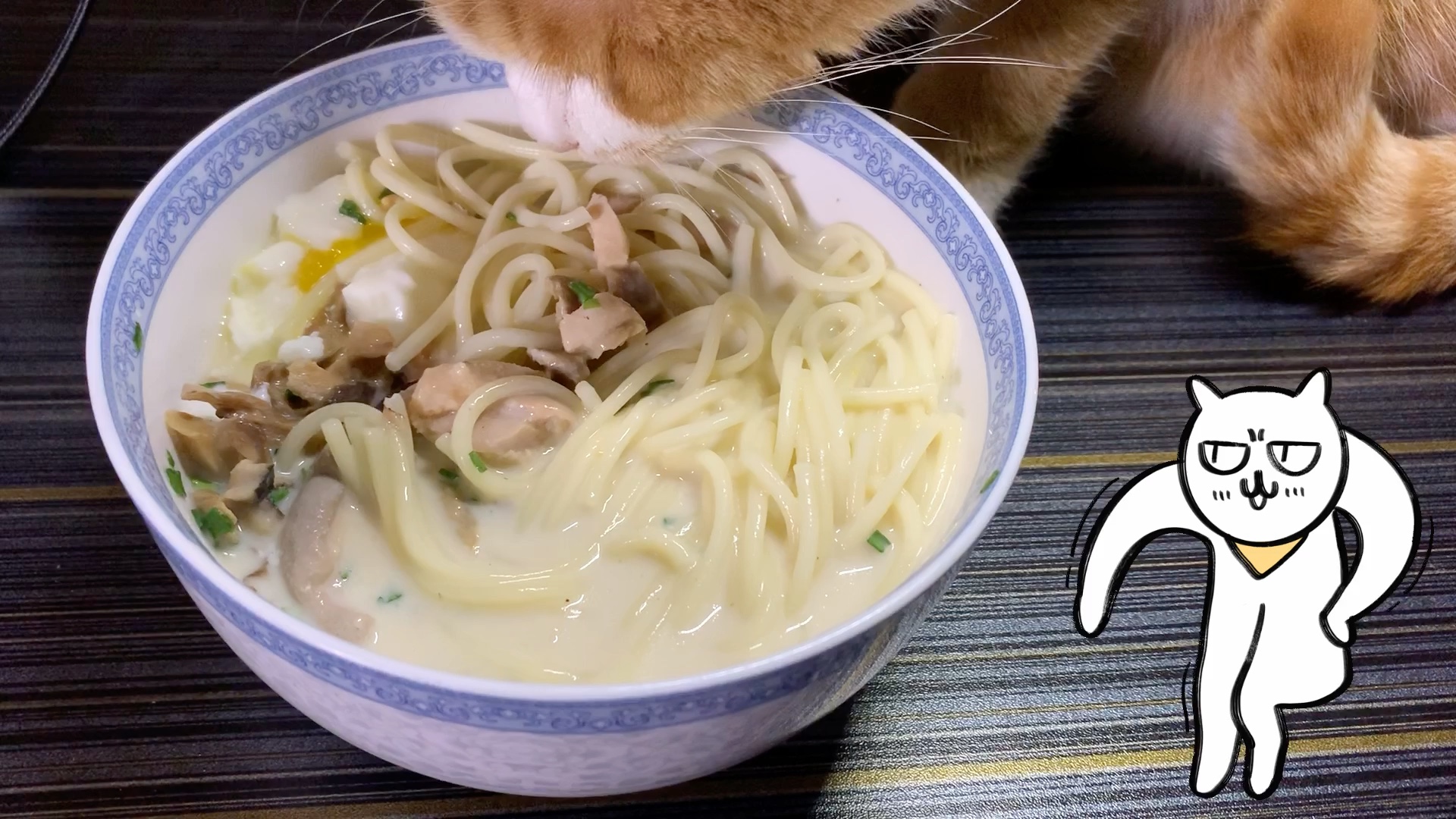 橘猫不胖你信么?