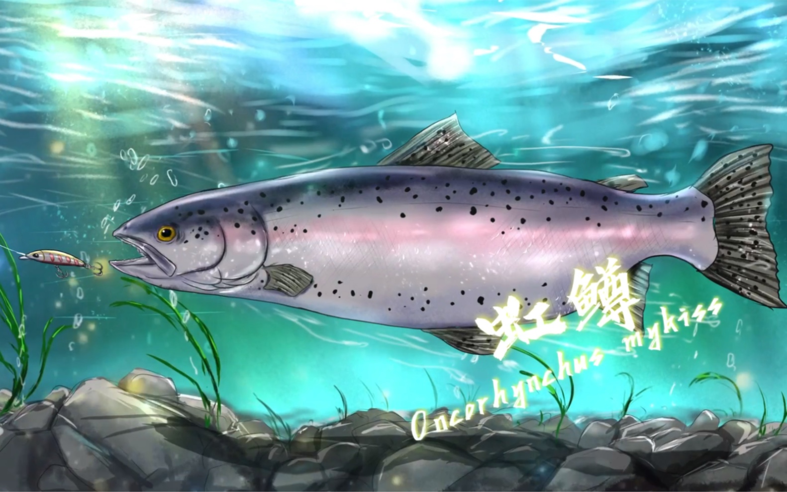 兔兔路亚绘画:三倍体虹鳟鱼_哔哩哔哩_bilibili