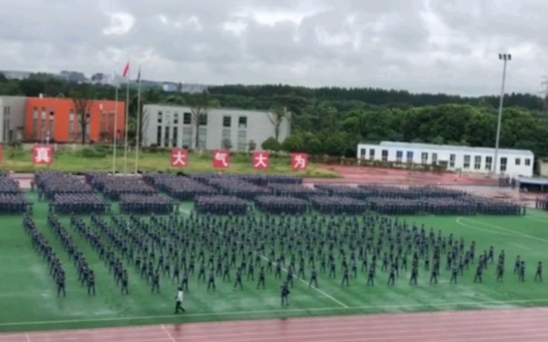 【电子科技大学军训】全校一半女生新生表演的女子搏击术哔哩哔哩bilibili