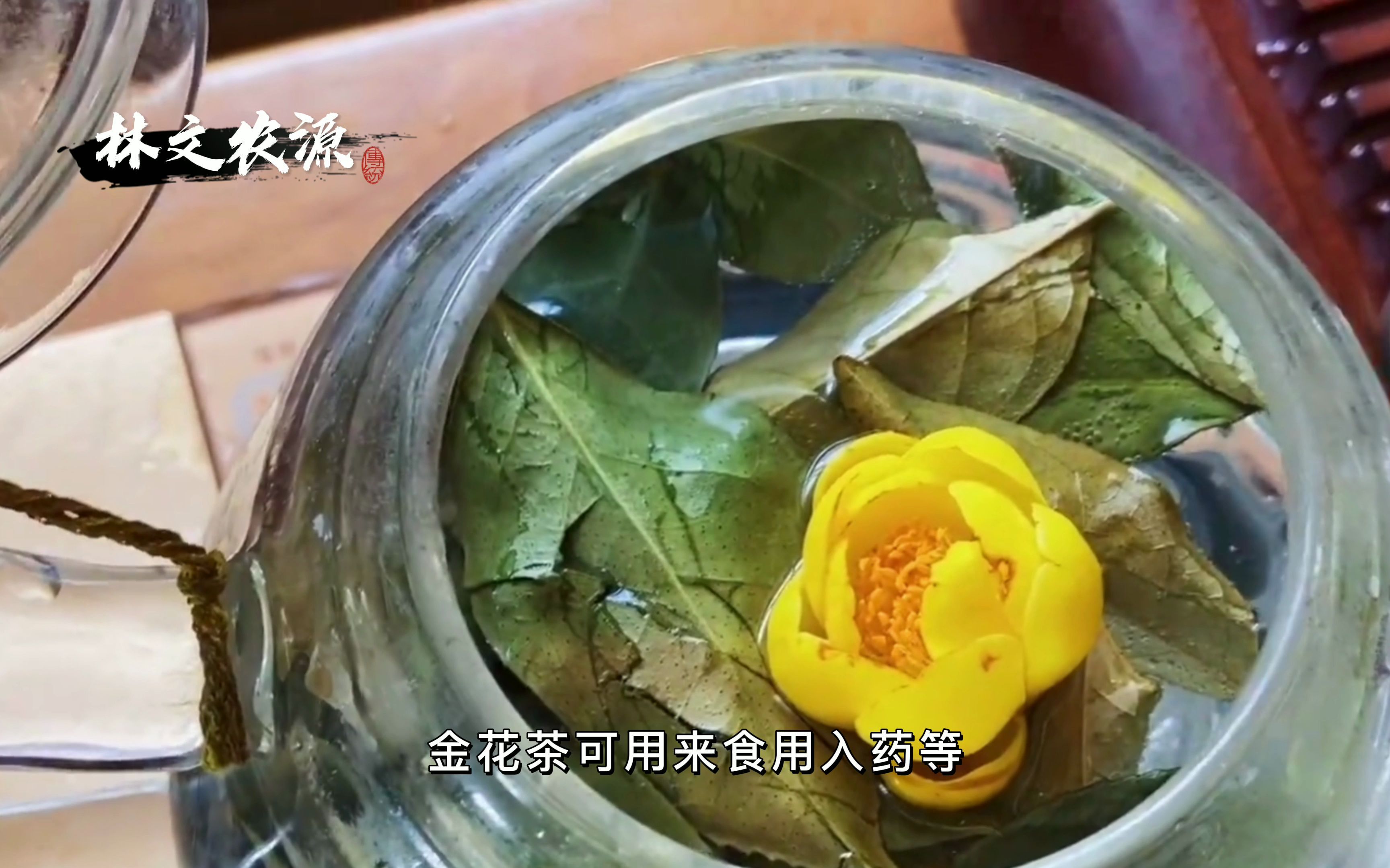 [图]金花茶，养生必备的美茶，像极了菊花茶却比菊花茶更加营养