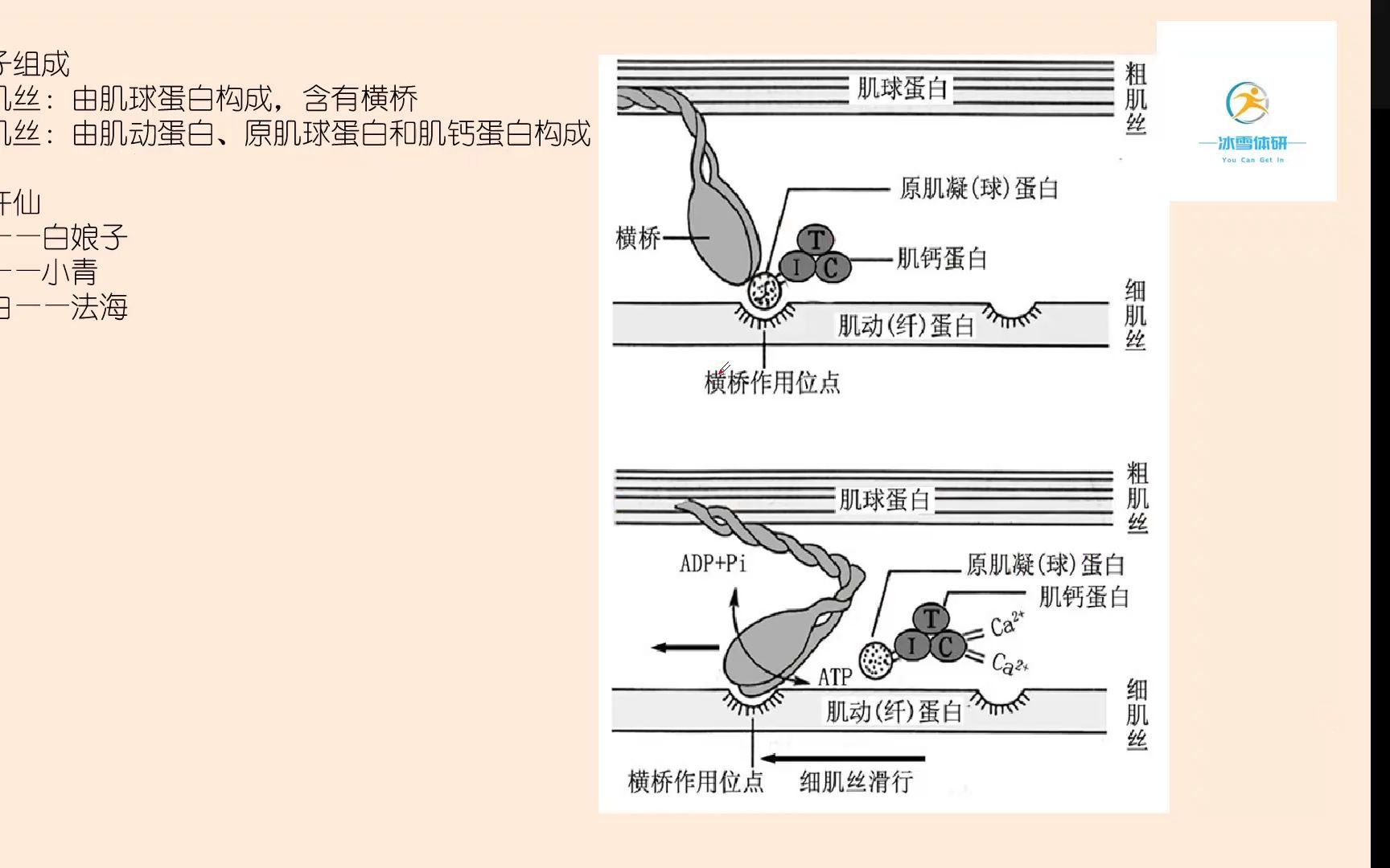 [图]哈尔滨体育学院考研运动生理学 哈体612运动康复考研 哈体613体育教育训练学考研 哈体考研