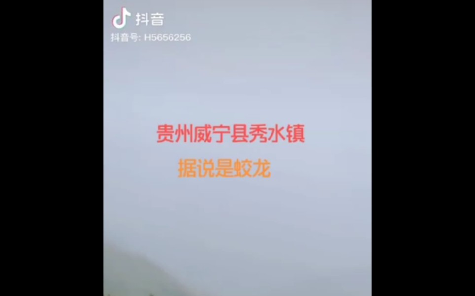 网传"贵州威宁县秀水镇大山里发出阵恐怖的叫声. 秉持"崇尚科学" "反对迷信""消灭谣言"的理念, "COTVIQ《走向科学》"栏目邀请专家为您揭...