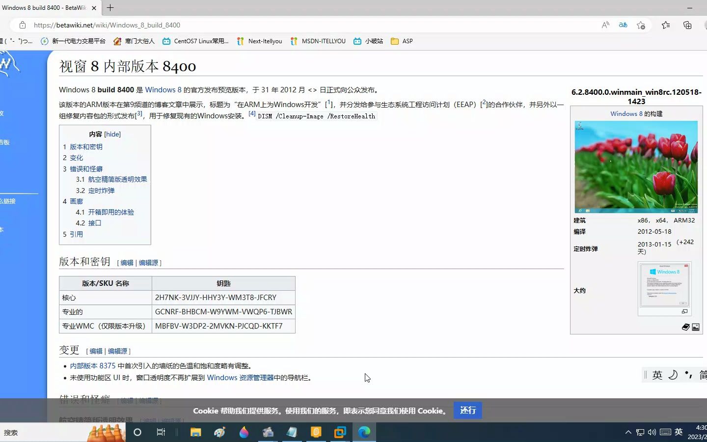 [UP主180天特辑]Windows 8 Build 8400 操作系统体验,刚开机炸弹炸.哔哩哔哩bilibili