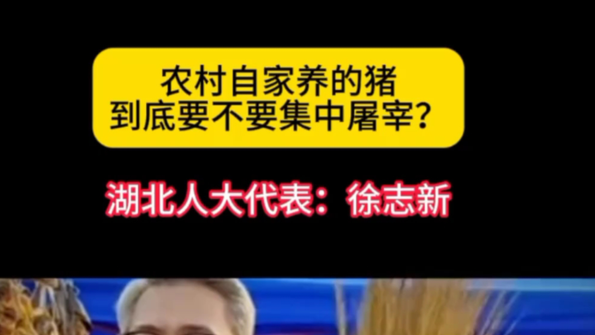 农村自家养的猪,到底要不要集中屠宰? # 徐志新哔哩哔哩bilibili