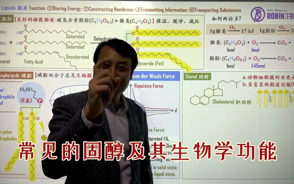 033常见的固醇及其生物学功能哔哩哔哩bilibili