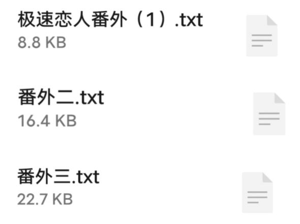 【极速恋人】小说,全文加番外完整版已全,一键三连私信免费分享哦哔哩哔哩bilibili