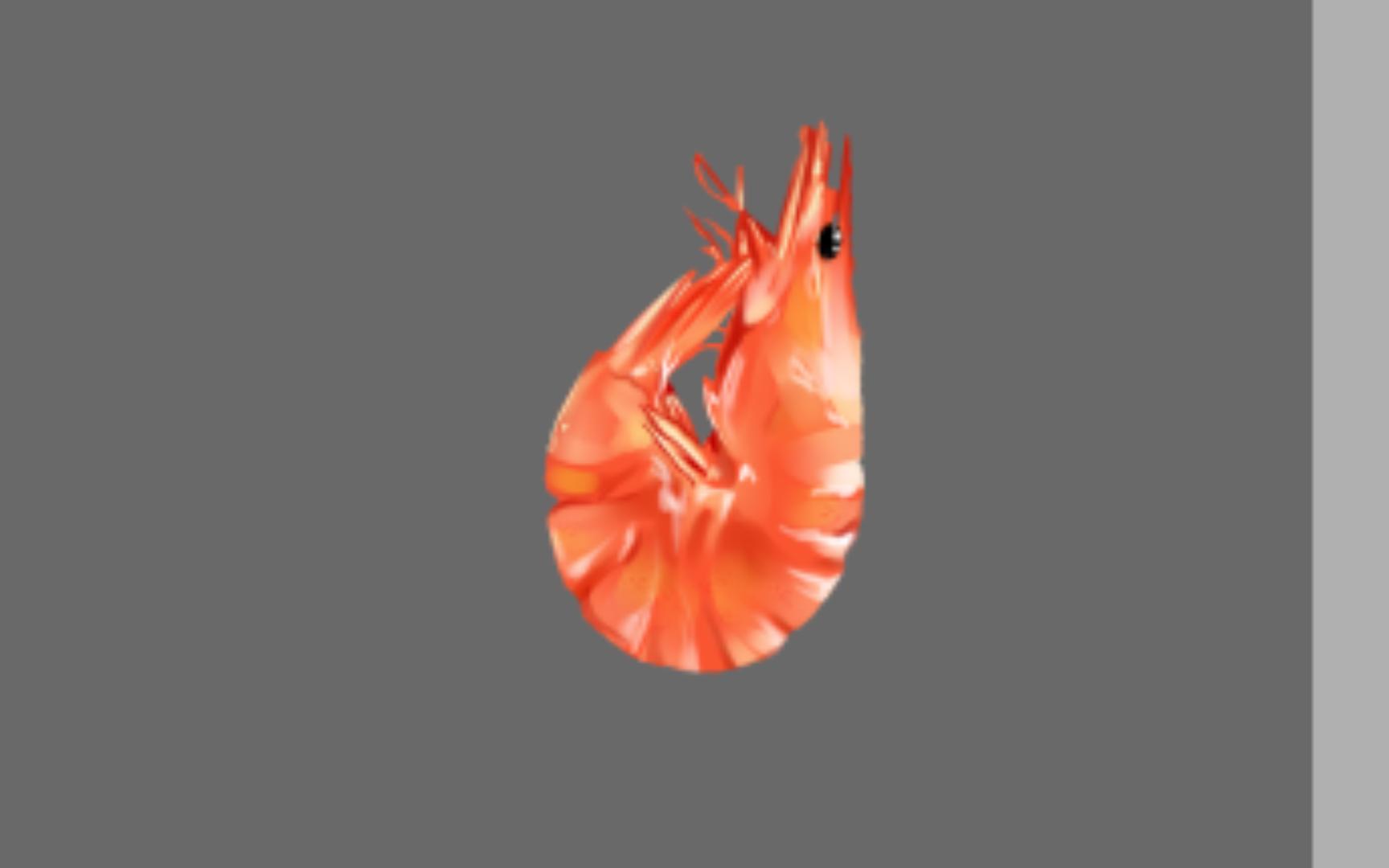 一只小虾米的过程