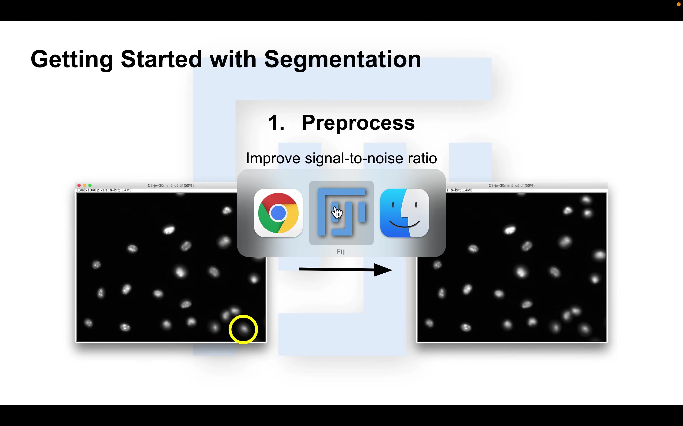 ImageJ | Fiji | 入门系列教程08 | 图像分割ⷥ…𖤺Œ | Segmentation Part 2 Preprocessing哔哩哔哩bilibili