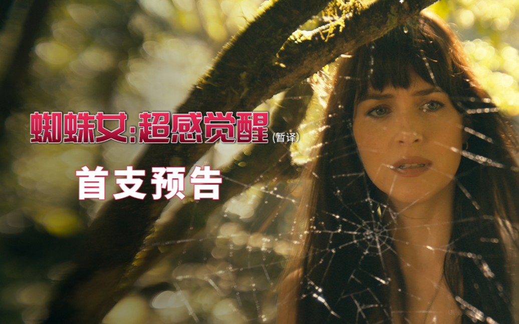 蜘蛛女侠集结!索尼蜘蛛宇宙电影《蜘蛛夫人》首款预告来袭