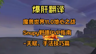 Download Video: 【爆肝翻译】魔兽世界11.0地心之战Snupy野德PVP指南-天赋、手法技巧篇