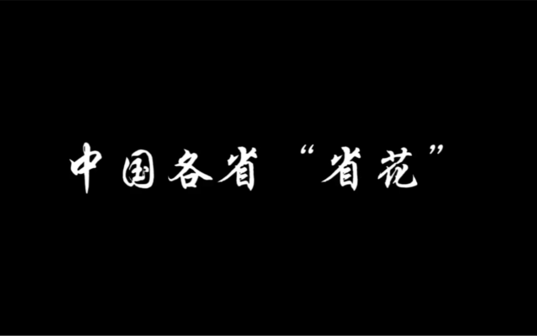 中国各省省花,你知道吗?哔哩哔哩bilibili