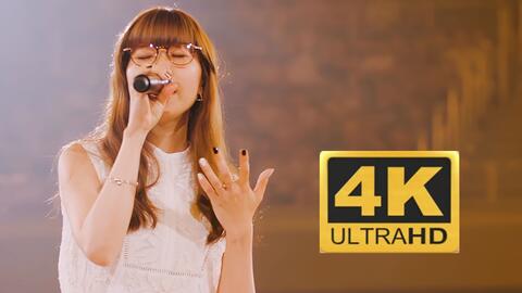 搜索 哔哩哔哩 つロ 干杯 Bilibili