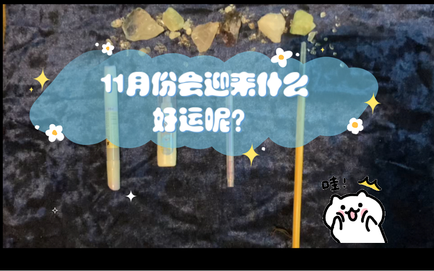 11月份会迎来什么好运呢?有什么好事会发生呢?一整个月都在玩,可太让人羡慕了哔哩哔哩bilibili