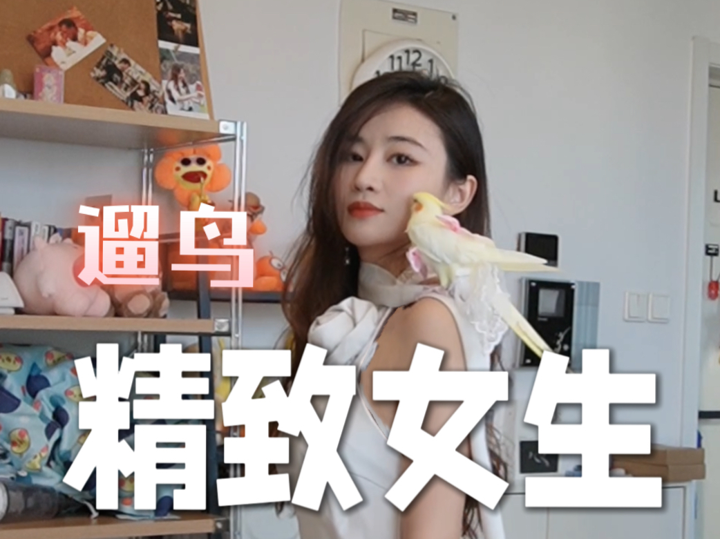 精致女生,怎么遛鸟?哔哩哔哩bilibili