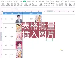 Download Video: 表格批量插入图片，实现动态查询！