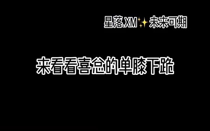 盘点喜总的单膝下跪哔哩哔哩bilibili