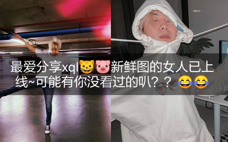 【xql最新图❤️❤️】他俩图片就没有不搞怪der~当个安静美男纸得看心情~哔哩哔哩bilibili