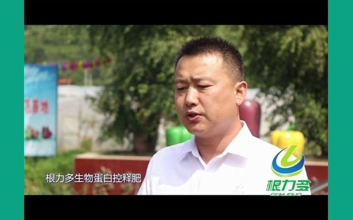 根力多 走中国:种出“翡翠”有“秘方”哔哩哔哩bilibili