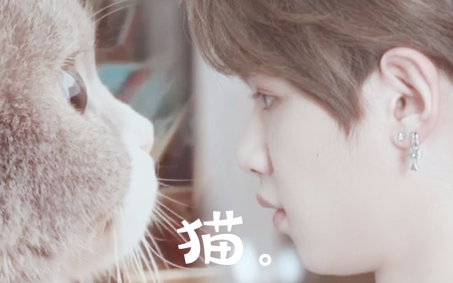 【justin黄明昊】做我的猫(舔屏向)