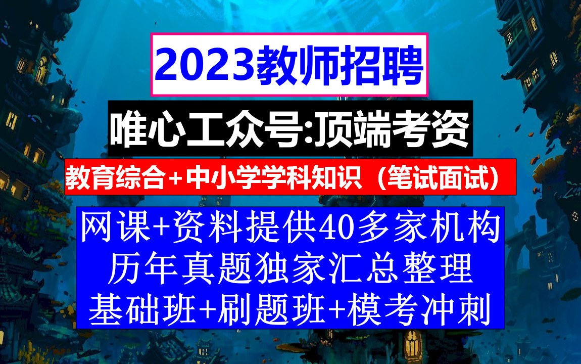 教师招聘,教师招聘考试题库app破解版,师范生求职简历模板范文哔哩哔哩bilibili