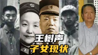 Download Video: 开国大将中，王树声子女命运最坎坷，长子残疾，三子患上精神病！