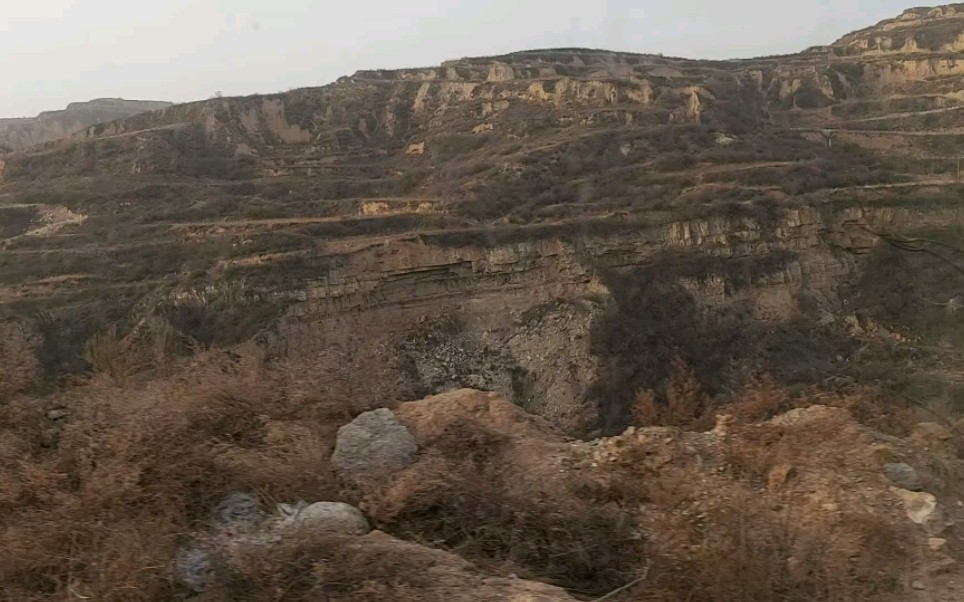 [图]汾西地貌 这种地方有很多轮叶 黄河堆积出黄土地貌还是平地 抬升估计也就2百万年左右